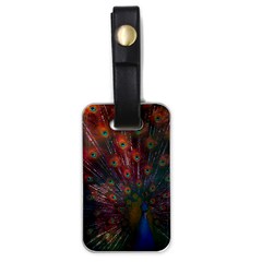 Peacock Feather Bird Luggage Tag (one Side) by Bedest