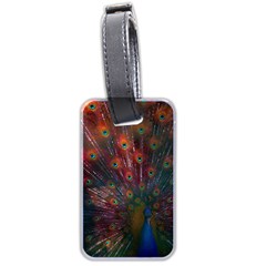 Peacock Feather Bird Luggage Tag (two Sides) by Bedest