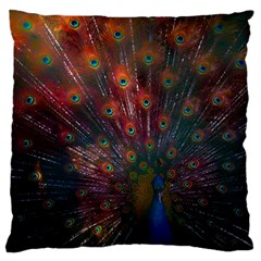 Peacock Feather Bird Standard Premium Plush Fleece Cushion Case (one Side) by Bedest