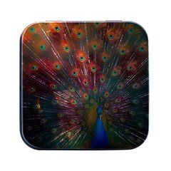 Peacock Feather Bird Square Metal Box (black)