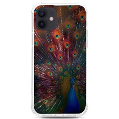 Peacock Feather Bird Iphone 12/12 Pro Tpu Uv Print Case