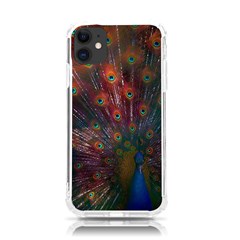 Peacock Feather Bird Iphone 11 Tpu Uv Print Case by Bedest