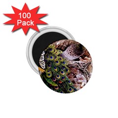 Japanese Painting Flower Peacock 1 75  Magnets (100 Pack)  by Bedest