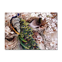 Japanese Painting Flower Peacock Sticker A4 (100 Pack) by Bedest