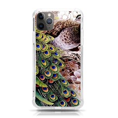 Japanese Painting Flower Peacock iPhone 11 Pro Max 6.5 Inch TPU UV Print Case