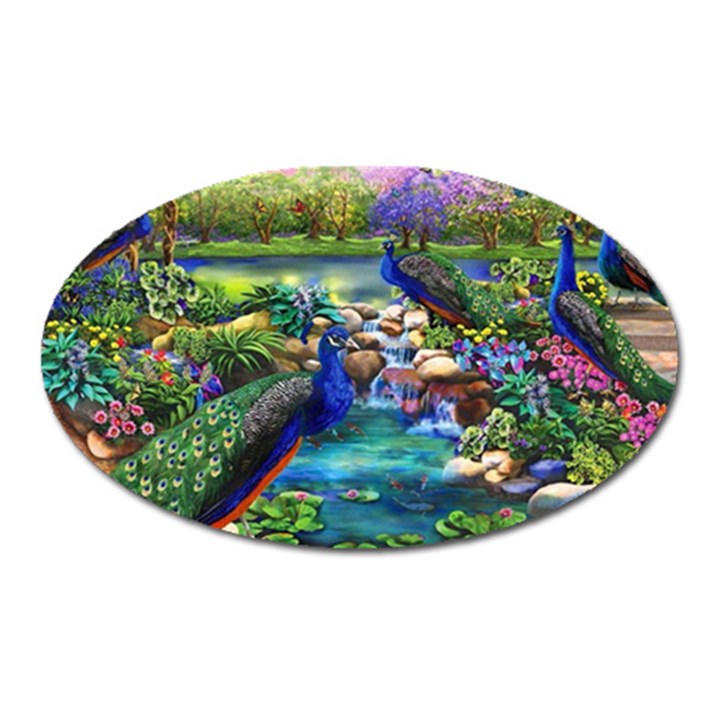 Peacocks  Fantasy Garden Oval Magnet