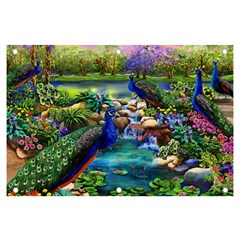 Peacocks  Fantasy Garden Banner And Sign 6  X 4  by Bedest