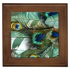 Peacock Feathers Framed Tile by Bedest