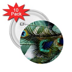 Peacock Feathers 2 25  Buttons (10 Pack)  by Bedest