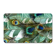 Peacock Feathers Magnet (rectangular) by Bedest