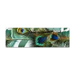 Peacock Feathers Sticker Bumper (10 pack) Front