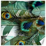 Peacock Feathers Canvas 12  x 12  11.4 x11.56  Canvas - 1