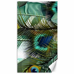 Peacock Feathers Canvas 40  X 72  by Bedest