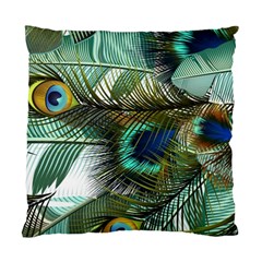 Peacock Feathers Standard Cushion Case (two Sides) by Bedest