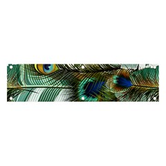 Peacock Feathers Banner And Sign 4  X 1  by Bedest