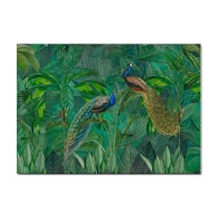 Peacock Paradise Jungle Sticker A4 (10 Pack) by Bedest