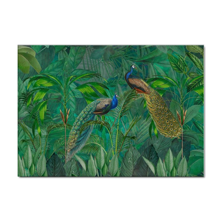 Peacock Paradise Jungle Sticker A4 (10 pack)