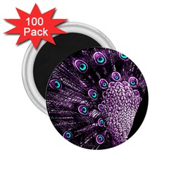 Purple Peacock 2 25  Magnets (100 Pack)  by Bedest