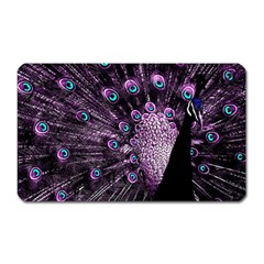 Purple Peacock Magnet (rectangular) by Bedest