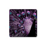 Purple Peacock Square Magnet Front