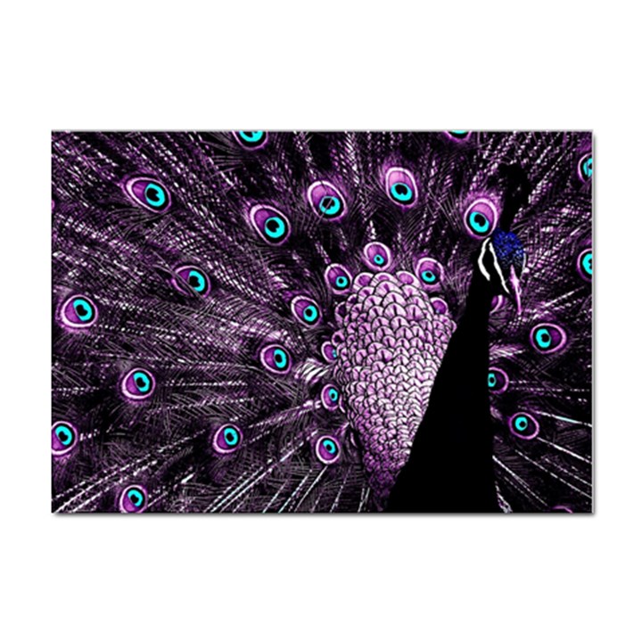 Purple Peacock Sticker A4 (10 pack)