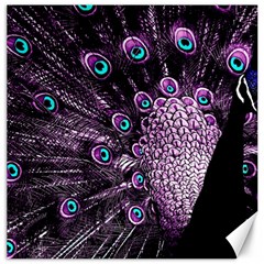 Purple Peacock Canvas 20  X 20  by Bedest