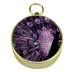 Purple Peacock Gold Compasses