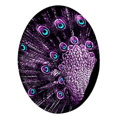 Purple Peacock Oval Glass Fridge Magnet (4 Pack)