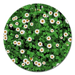 Daisies Clovers Lawn Digital Drawing Background Magnet 5  (round) by Ravend