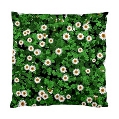 Daisies Clovers Lawn Digital Drawing Background Standard Cushion Case (one Side) by Ravend