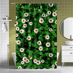 Daisies Clovers Lawn Digital Drawing Background Shower Curtain 48  X 72  (small)  by Ravend