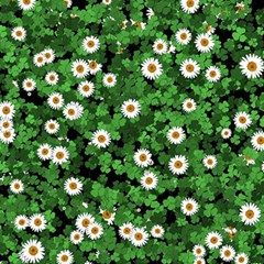 Daisies Clovers Lawn Digital Drawing Background Play Mat (rectangle) by Ravend