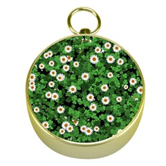 Daisies Clovers Lawn Digital Drawing Background Gold Compasses by Ravend