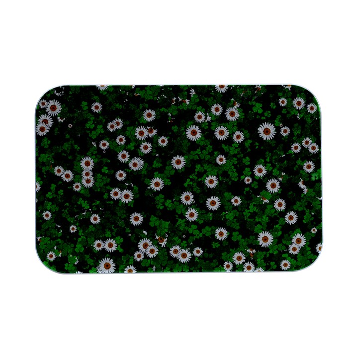 Daisies Clovers Lawn Digital Drawing Background Open Lid Metal Box (Silver)  