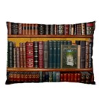 Books-library-bookshelf-bookshop Pillow Case (Two Sides) Back