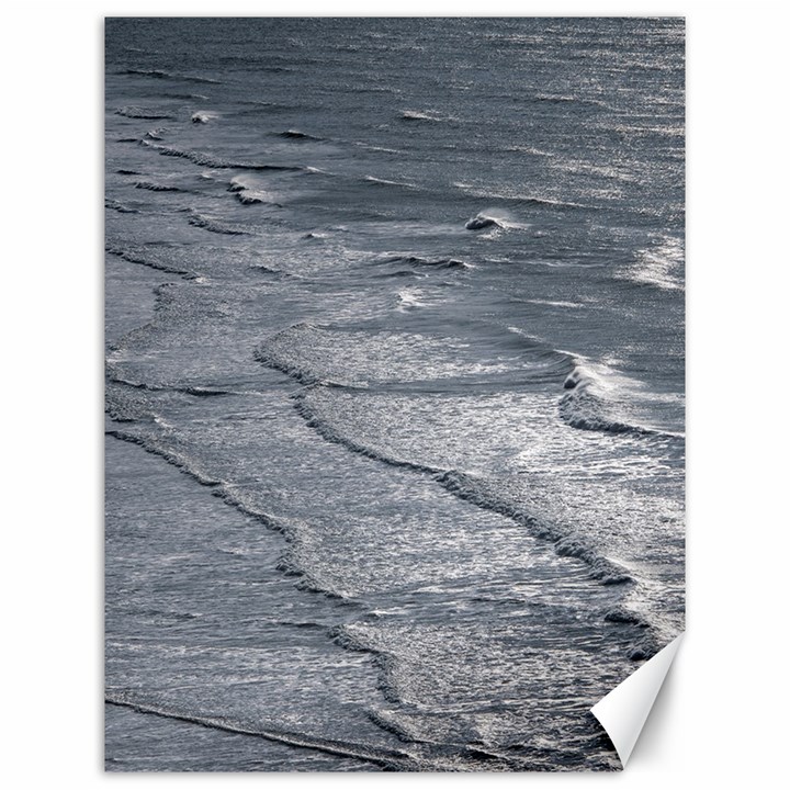 Atlantic Ocean Aerial View, Tierra Del Fuego, Argentina Canvas 12  x 16 