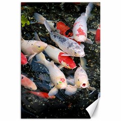 Koi Fish Nature Canvas 12  X 18  by Ndabl3x