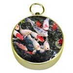 Koi Fish Nature Gold Compasses Front