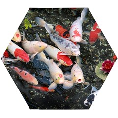 Koi Fish Nature Wooden Puzzle Hexagon by Ndabl3x