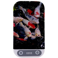 Koi Fish Nature Sterilizers by Ndabl3x