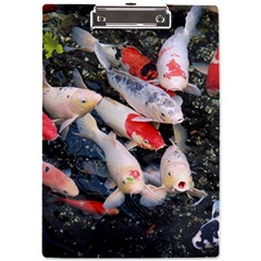 Koi Fish Nature A4 Acrylic Clipboard by Ndabl3x