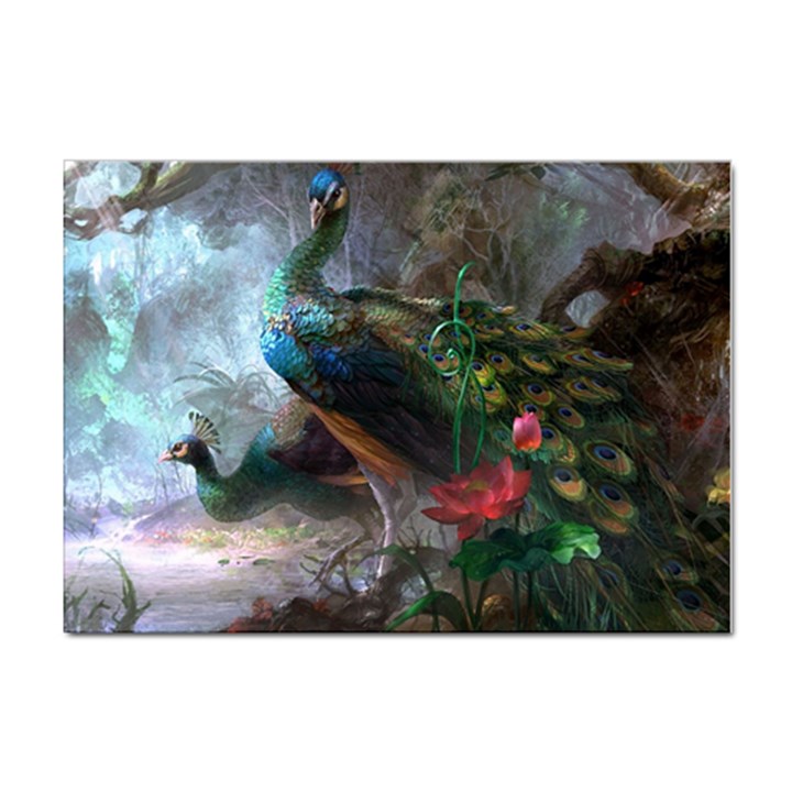 Peacock Art Painting Sticker A4 (100 pack)