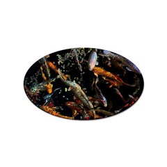 Shoal Of Koi Fish Water Underwater Sticker Oval (10 Pack) by Ndabl3x