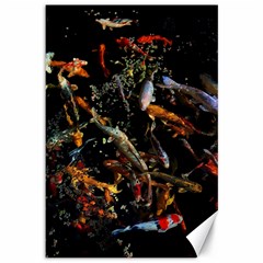 Shoal Of Koi Fish Water Underwater Canvas 12  X 18  by Ndabl3x