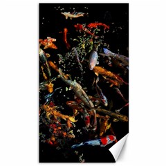 Shoal Of Koi Fish Water Underwater Canvas 40  X 72 