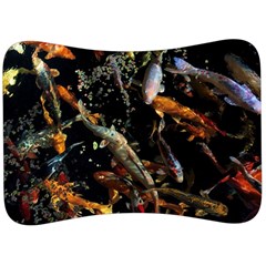 Shoal Of Koi Fish Water Underwater Velour Seat Head Rest Cushion by Ndabl3x