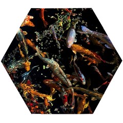 Shoal Of Koi Fish Water Underwater Wooden Puzzle Hexagon by Ndabl3x