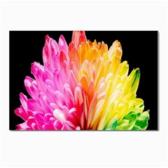 Abstract, Amoled, Back, Flower, Green Love, Orange, Pink, Postcard 4 x 6  (pkg Of 10) by nateshop