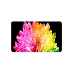 Abstract, Amoled, Back, Flower, Green Love, Orange, Pink, Magnet (name Card) by nateshop