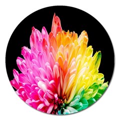 Abstract, Amoled, Back, Flower, Green Love, Orange, Pink, Magnet 5  (round) by nateshop